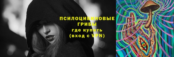 МДПВ Бородино