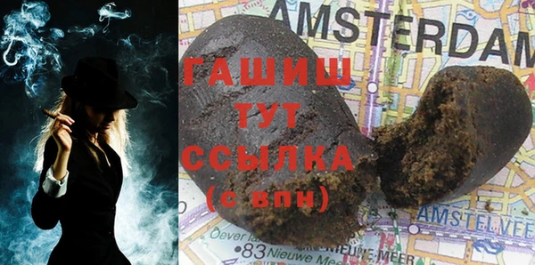 МДПВ Бородино
