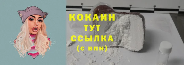 МДПВ Бородино
