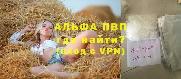 прущие грибы Бугульма