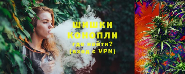 дмт Бронницы