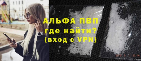 МДПВ Бородино
