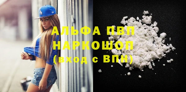 МДПВ Бородино