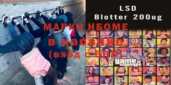 МДПВ Бородино