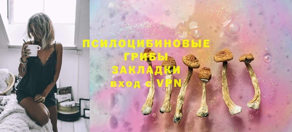 дмт Бронницы