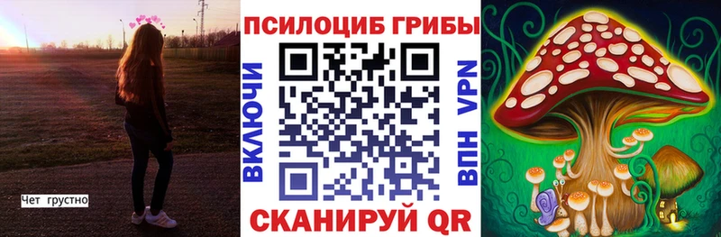 кракен вход  Красноярск  Псилоцибиновые грибы Psilocybine cubensis 