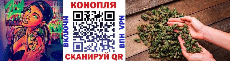 Марихуана OG Kush  Красноярск 